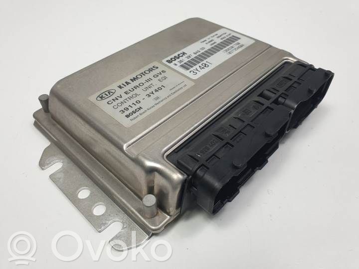 KIA Carnival Engine control unit/module 