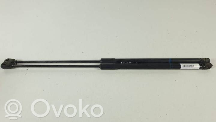 Tailgate/trunk strut/damper   39089133,315005777