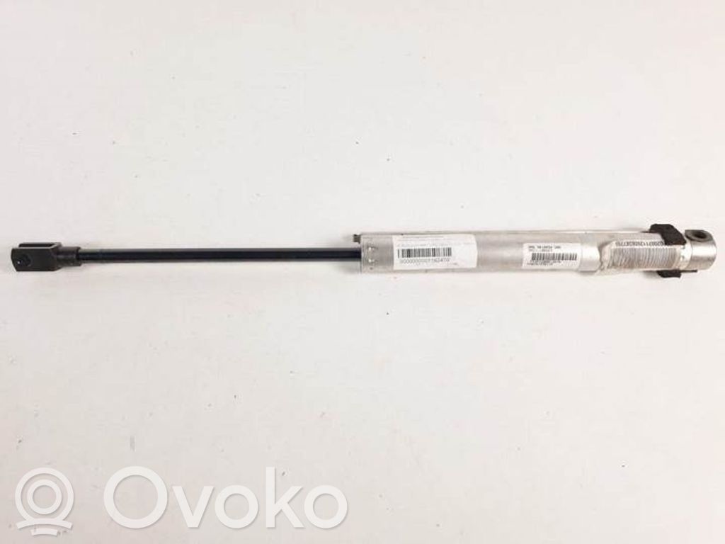 Tailgate/trunk strut/damper   DAI1106663,OAS9410454
