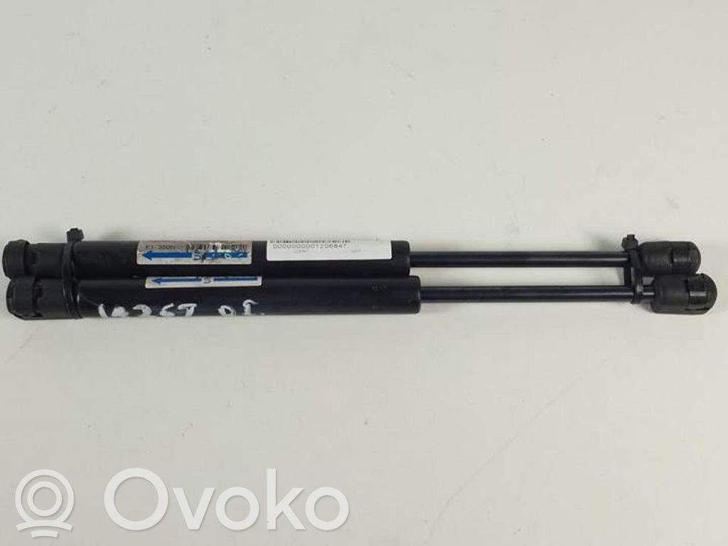 Tailgate/trunk strut/damper   JB300350