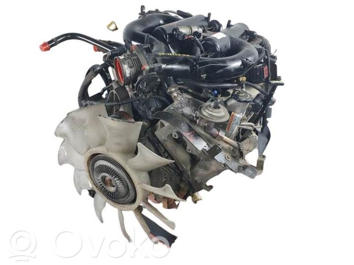 Variklis   207CV