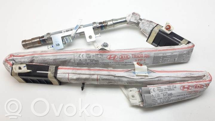 Kopfairbag   850201Y000,1Y85020000