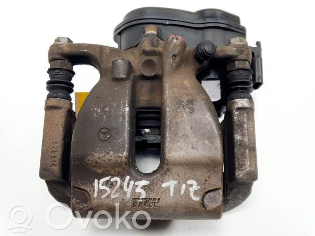 Takajarrusatula   32352564