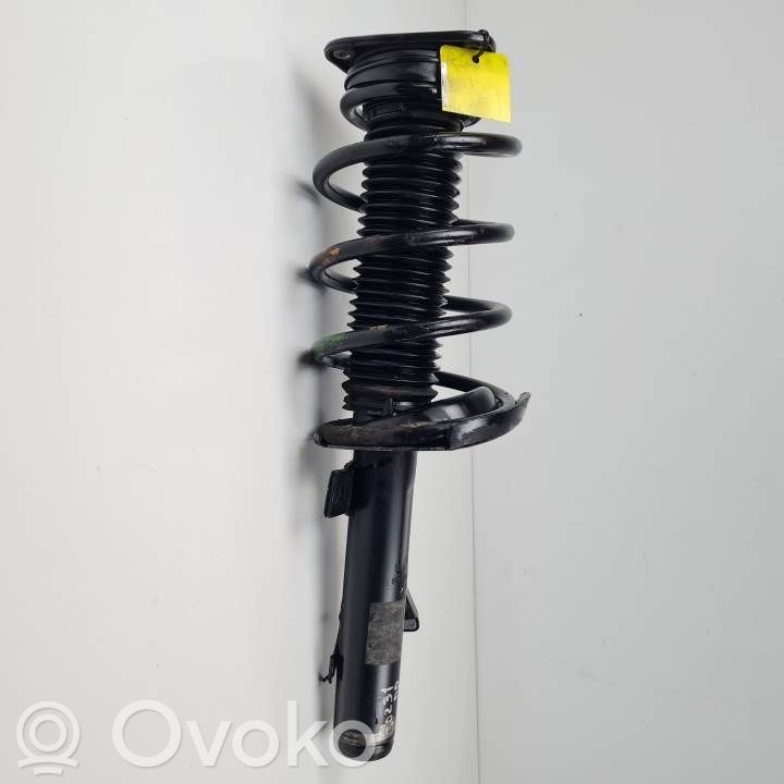 Stoßdämpfer vorne   SAB803831