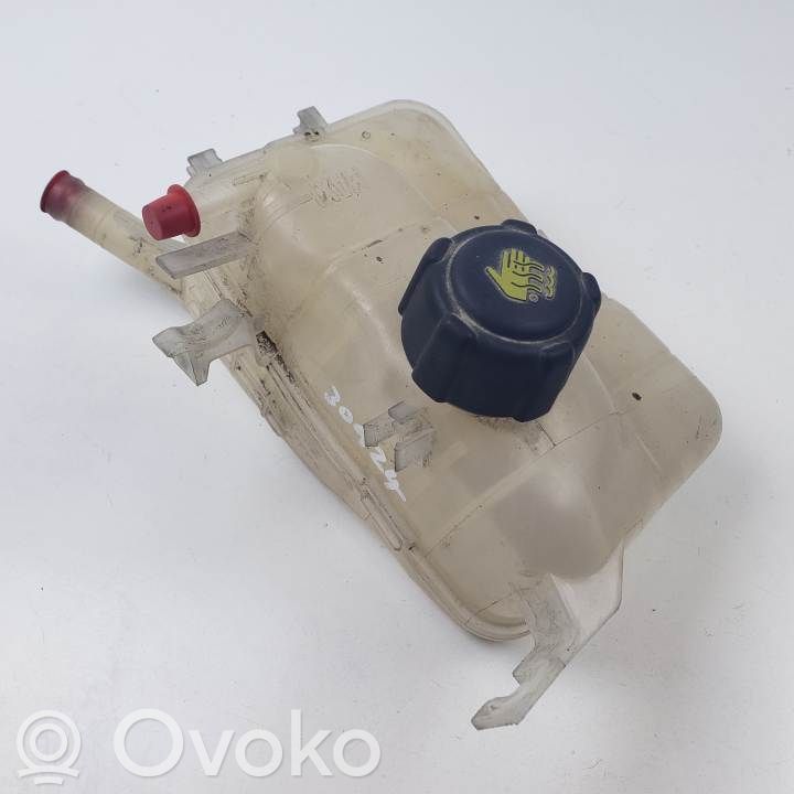 Renault Megane III Serbatoio di compensazione del liquido refrigerante/vaschetta 
