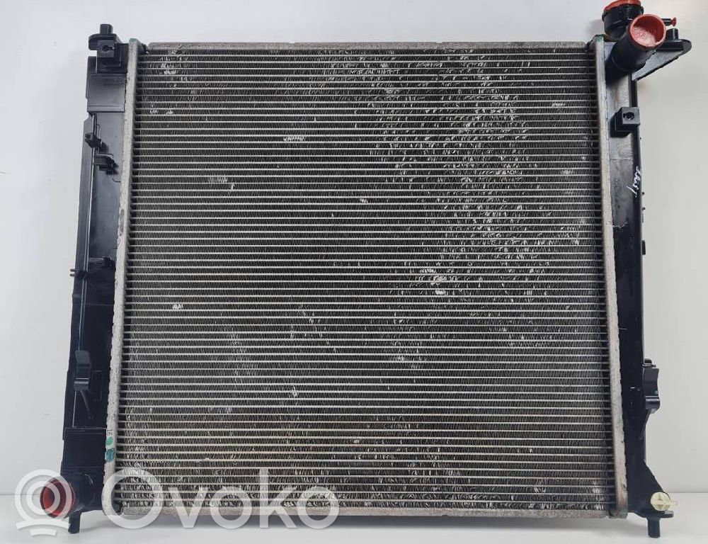 Radiateur de refroidissement   253102Y001