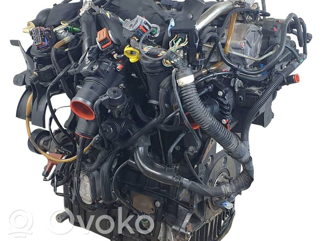 Motore   RHR