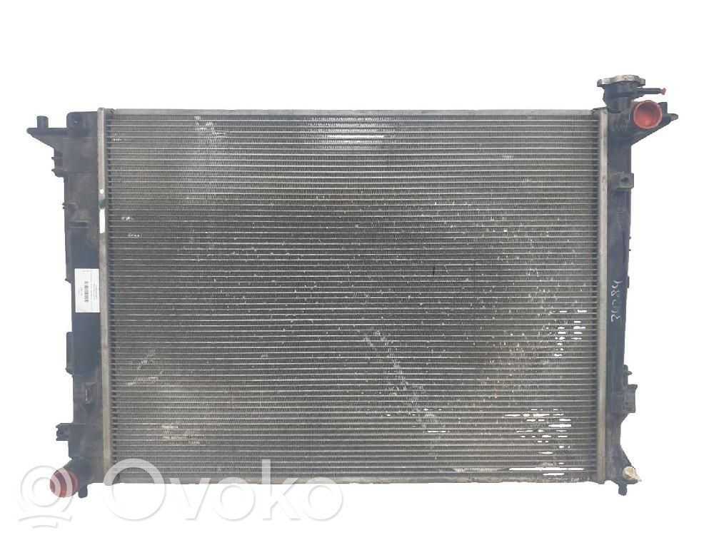 Wasserkühler   253102Y500