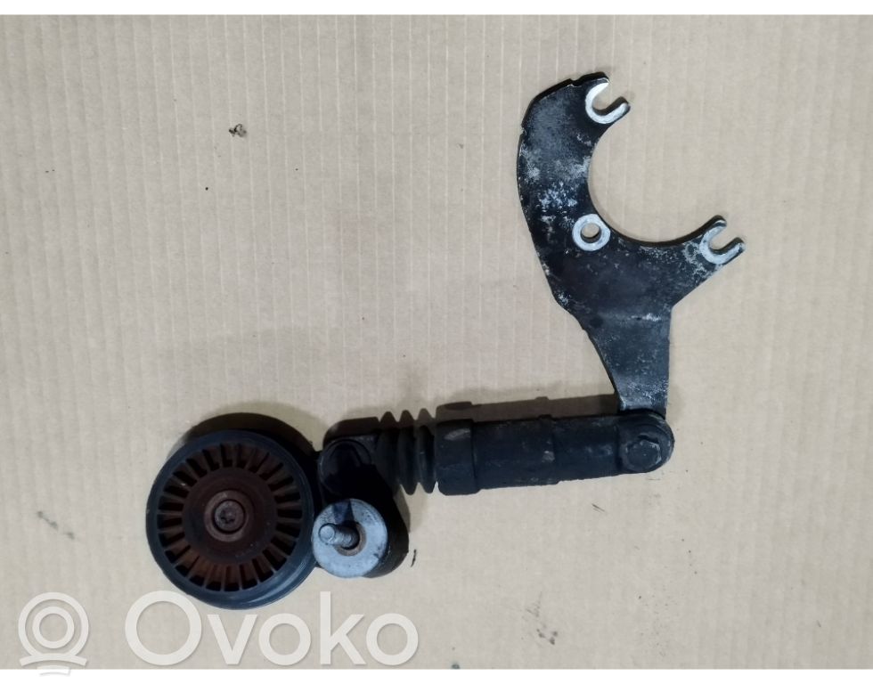 Audi A4 S4 B6 8E 8H Întinzător curea generator/alternator 