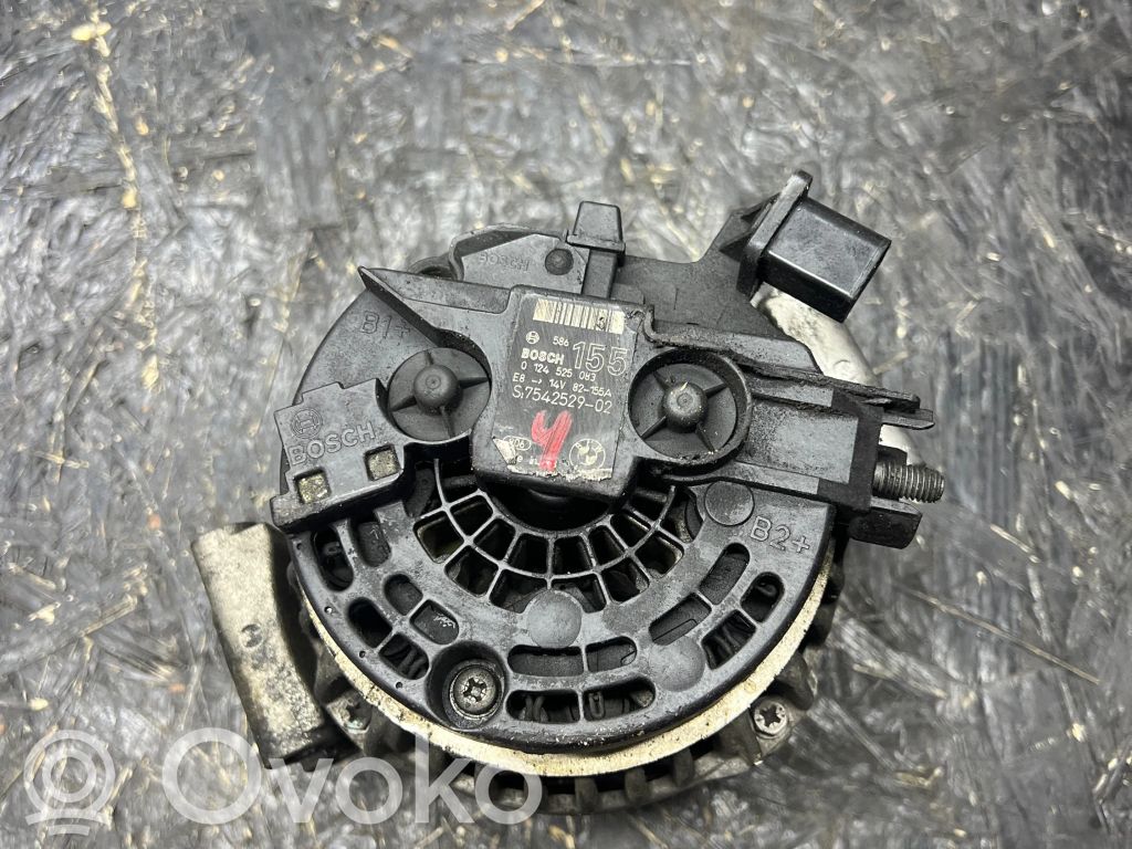 Lichtmaschine   7542529,0124525083