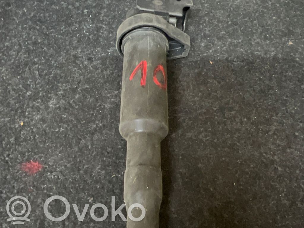 Aukštos įtampos ritė "babyna"   193175491
