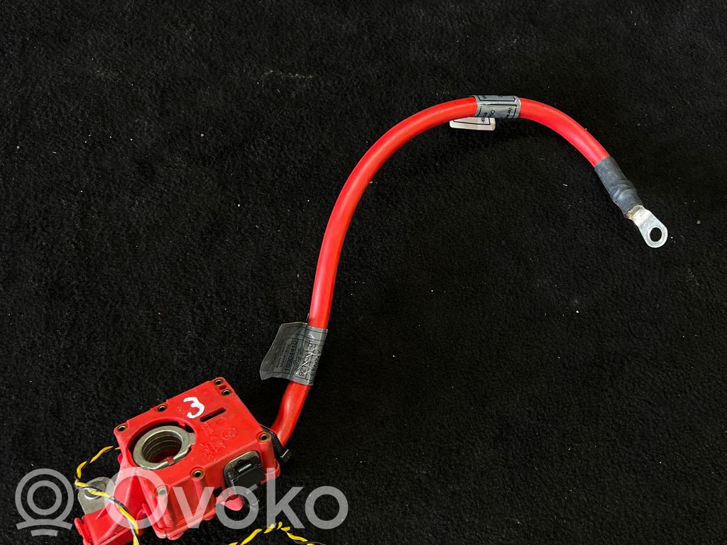 Pluskaapeli (akku)   9217030,9217031,EEV74Y