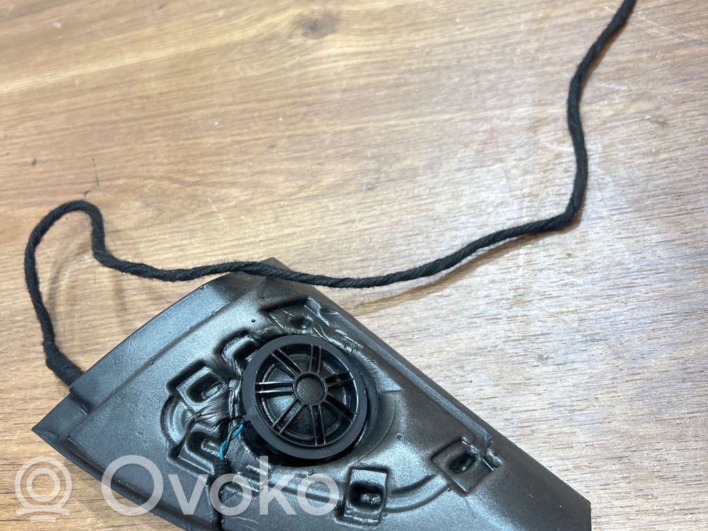 Altavoz de alta frecuencia en la puerta delantera   9227248,18820010,430407861851