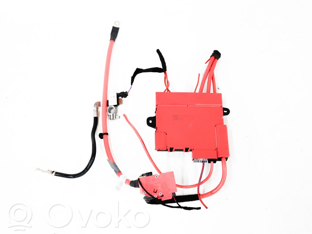 BMW X5 F15 Positive wiring loom 