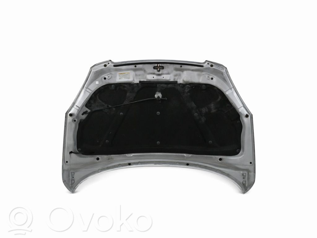 Dzinēja pārsegs (vāks)