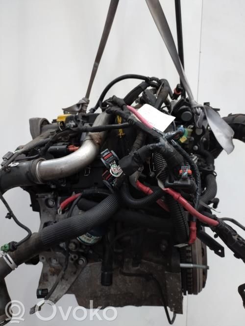 Engine   7701478491