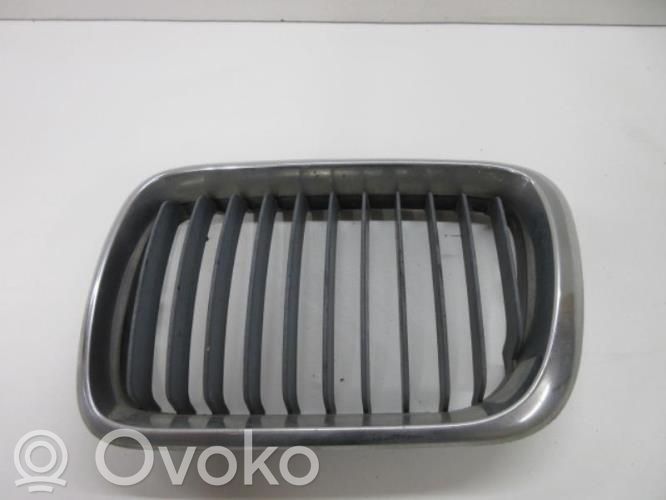 Front grill   51138122237