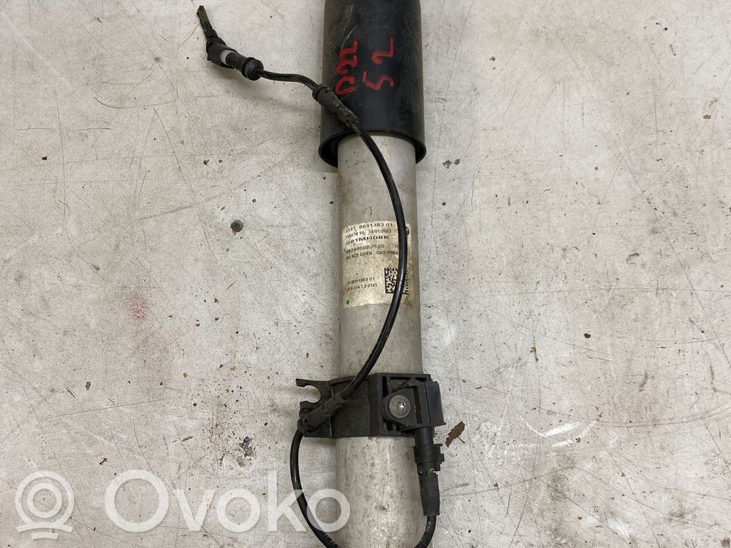 BMW M3 G80 Ansamblu amortizor cu arc spate 