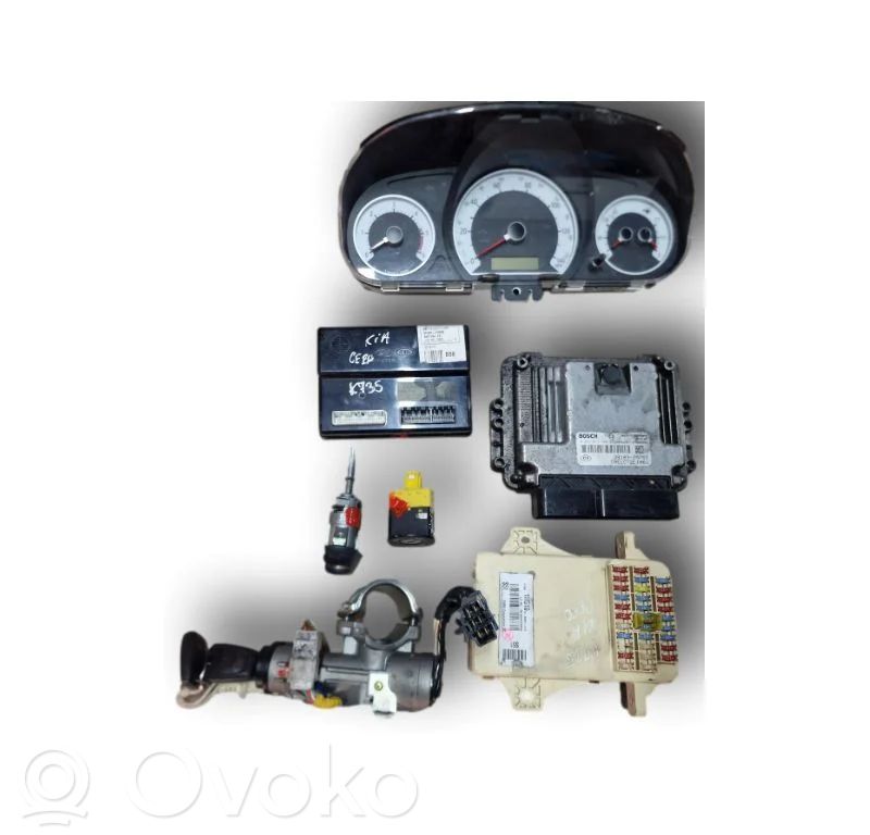 Engine ECU kit and lock set   391032A765,0281013400