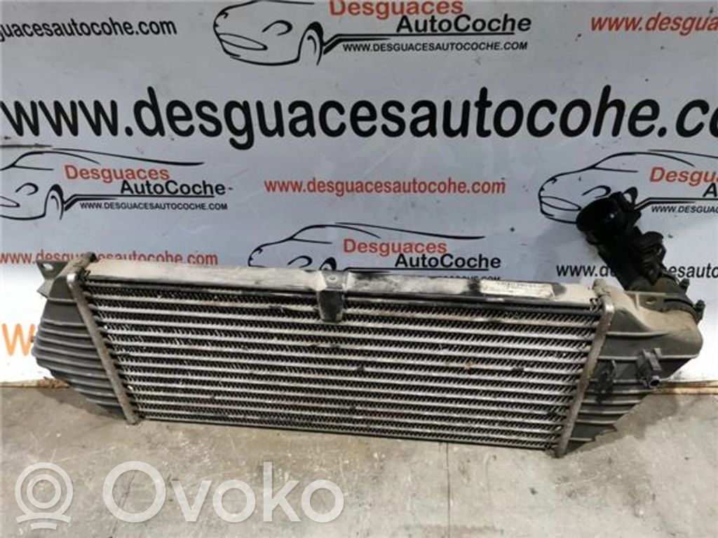 Mercedes-Benz CL C215 Radiator intercooler 