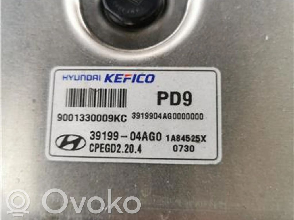 Engine control unit/module ECU   3919904AG0