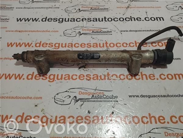 Rampa inyectora   3140027400,445214085