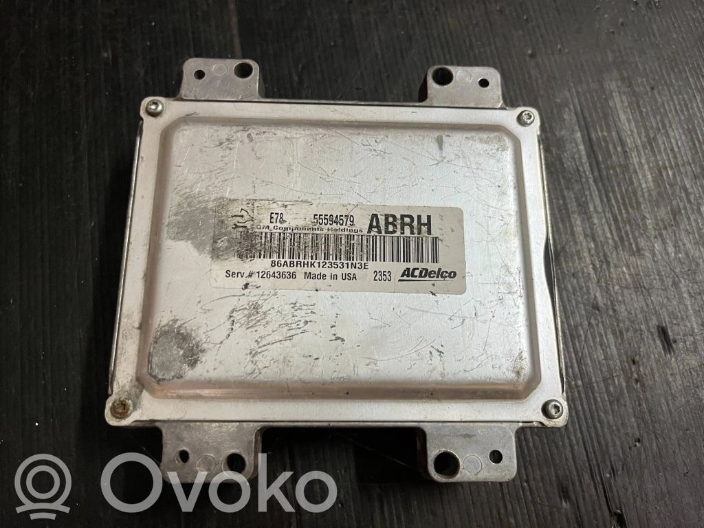 Other control units/modules   55594579,12643636