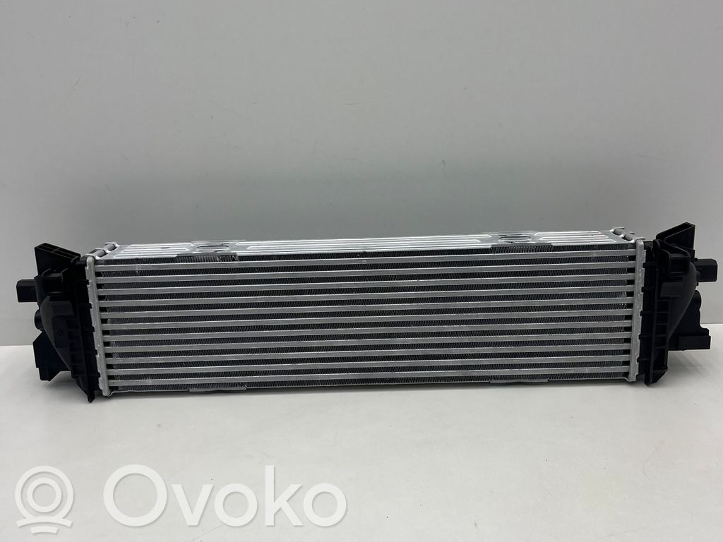 Interkūlerio radiatorius   31410892,31410892