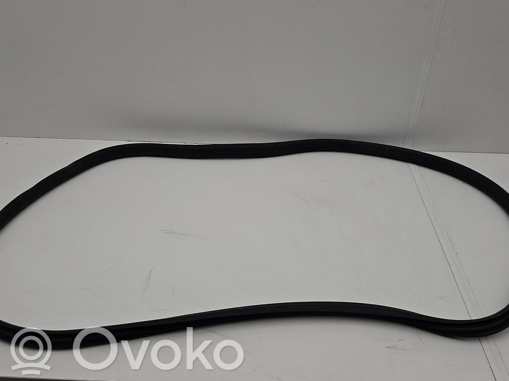 Volvo V60 Junta de goma de la puerta delantera 