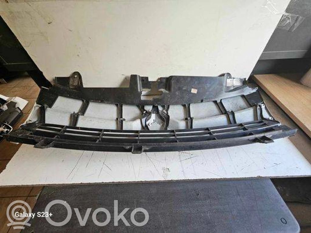 Front grill   1497651077,4124