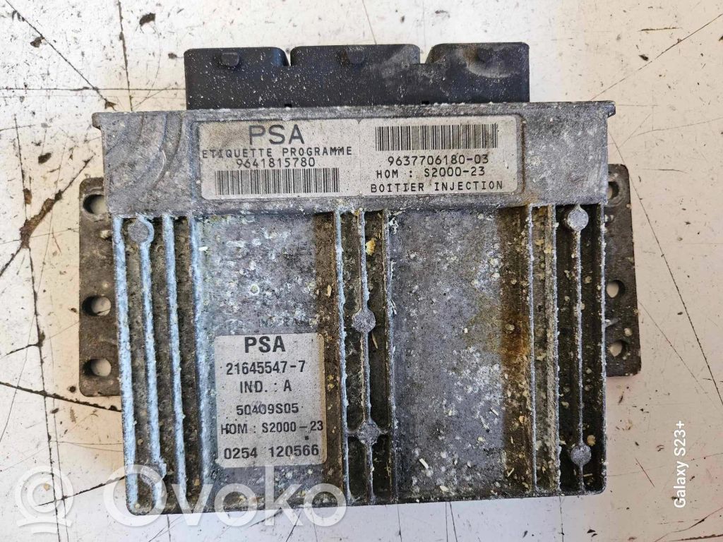 Peugeot 206 Engine control unit/module 