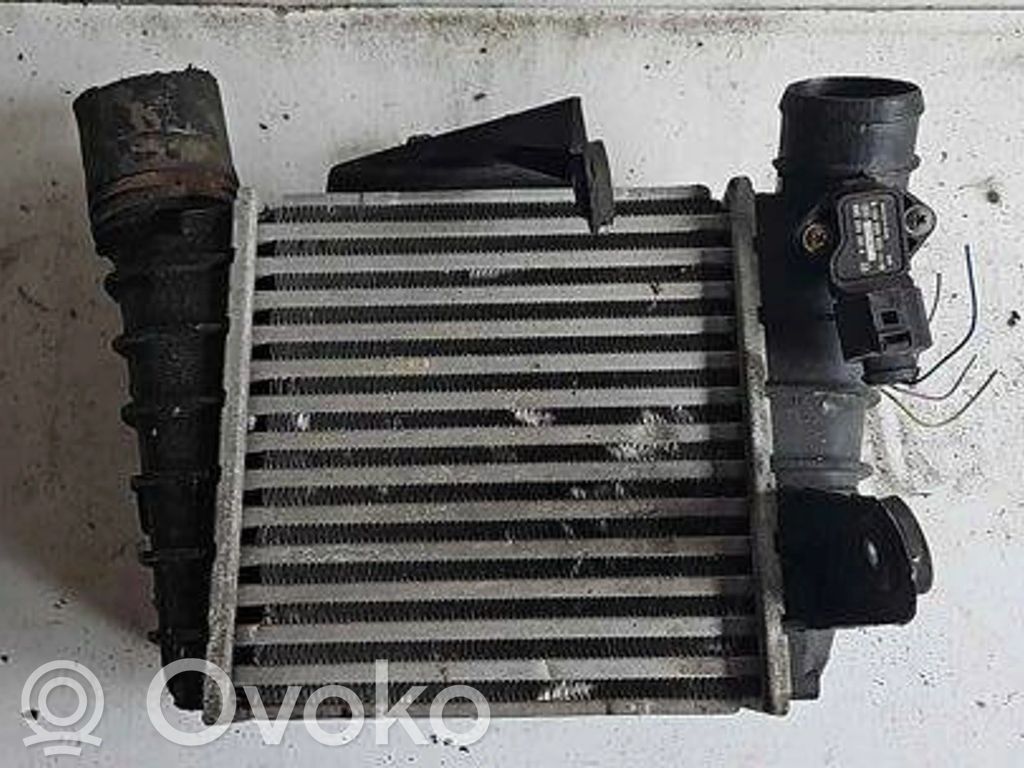 Volkswagen Polo Aušinimo skysčio radiatorius 