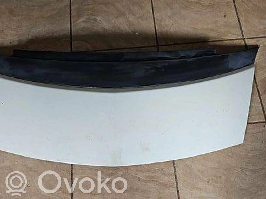 Mitsubishi i-MiEV Motorhaube 