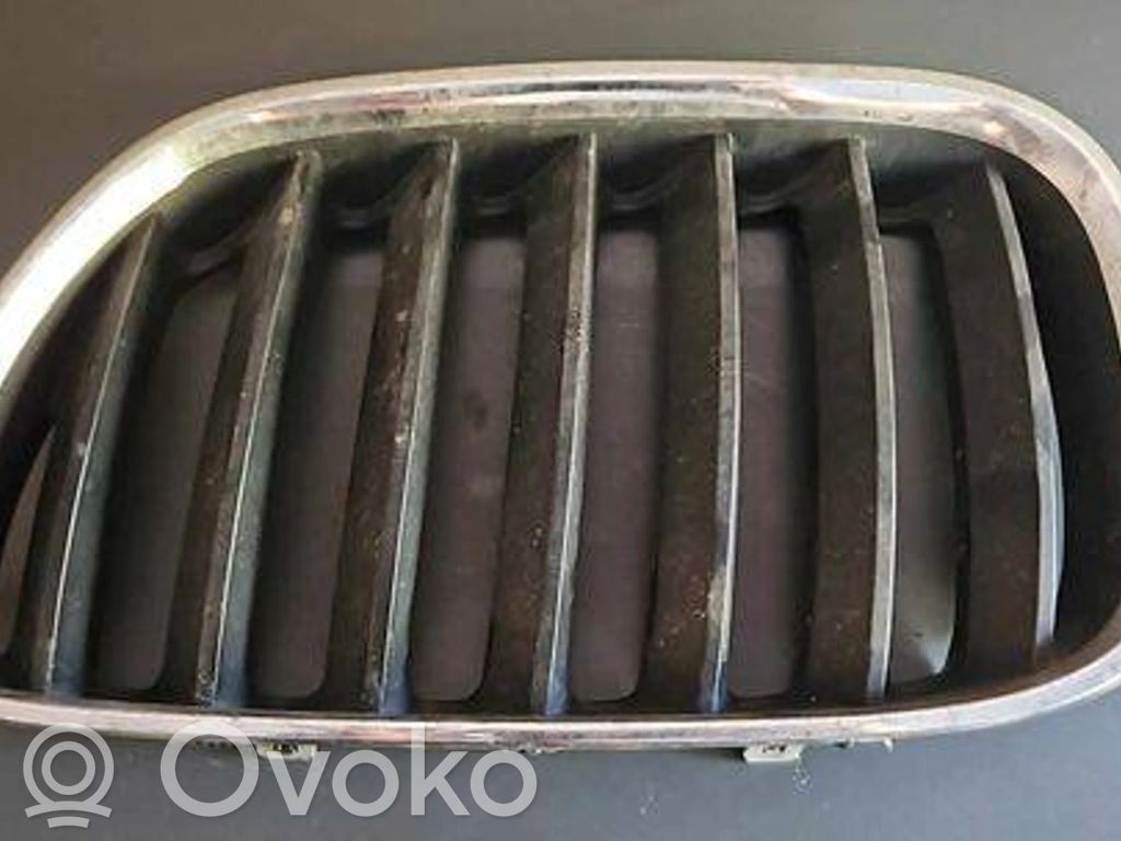 BMW X5 E53 Front bumper upper radiator grill 