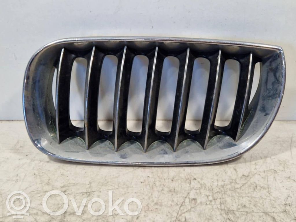 Front grill   51133402909