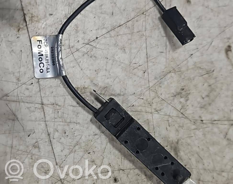 Ford Focus Antenos stiprintuvas 