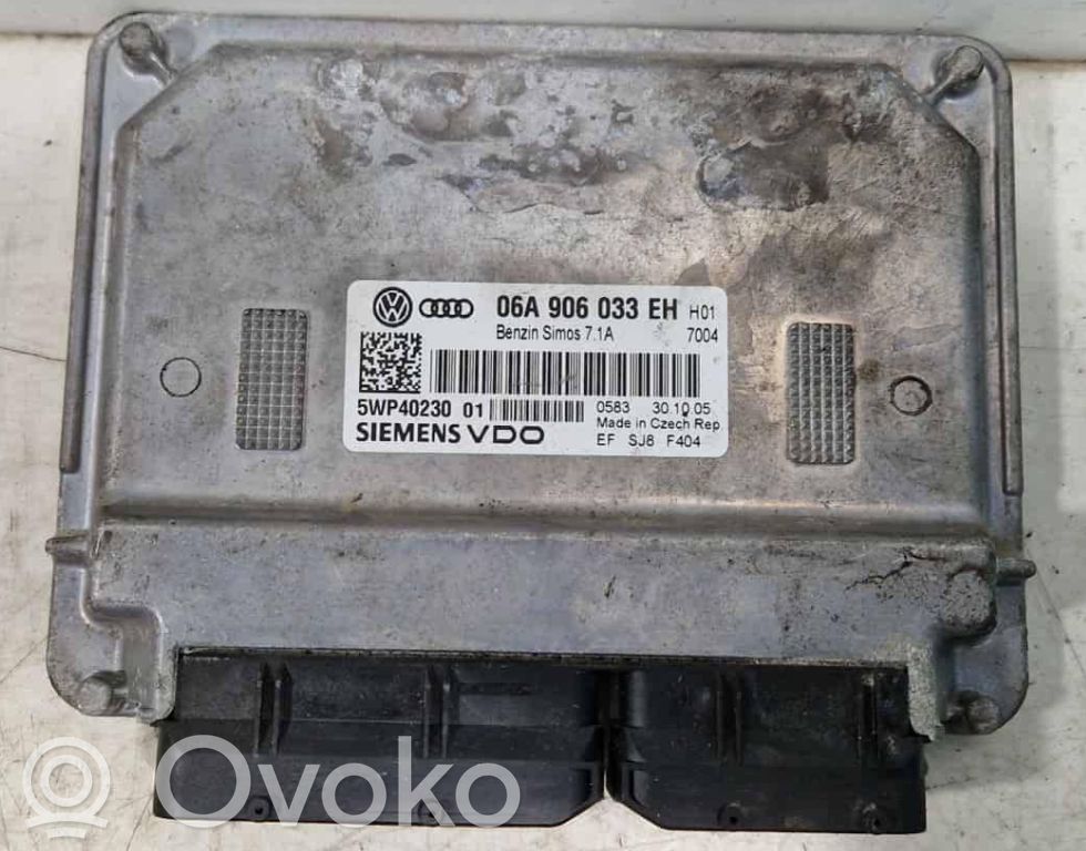 Engine control unit/module   06A906033EH,5WP40230