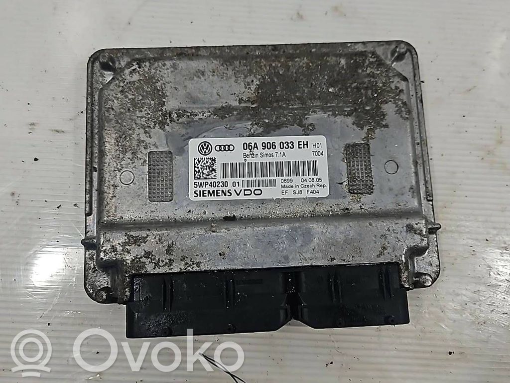 Volkswagen Polo Engine control unit/module 