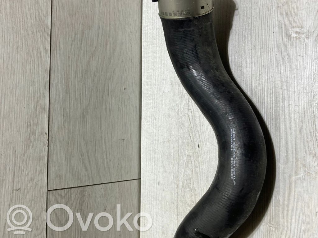 Ford Focus Šļūtene (-es) / caurule (-es) 