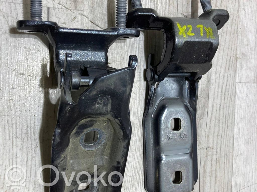 BMW X2 F39 Tailgate/trunk/boot hinge 