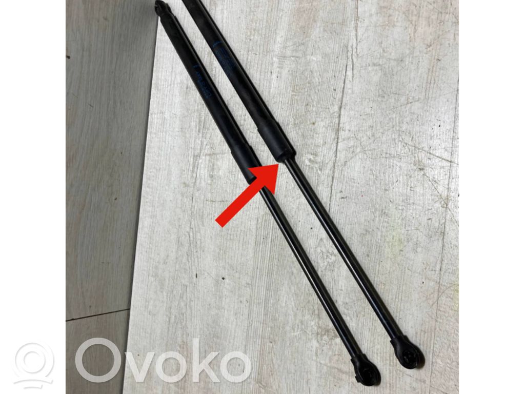 Renault Clio V Tailgate strut 