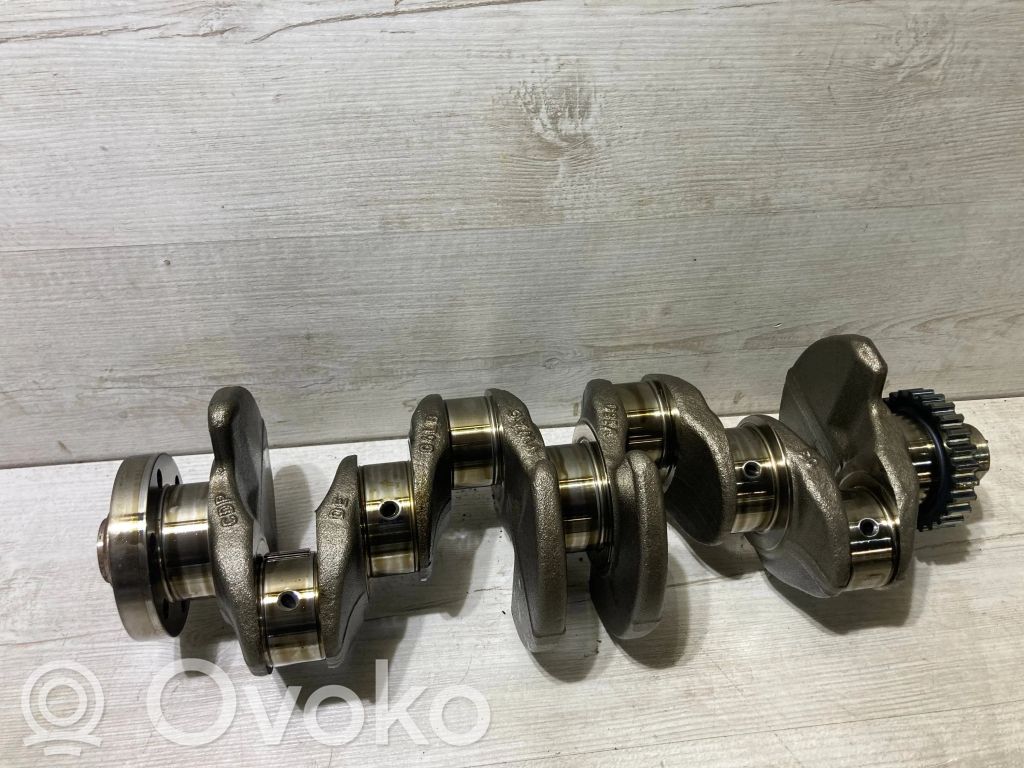 Skoda Octavia Mk3 (5E) Crankshaft 