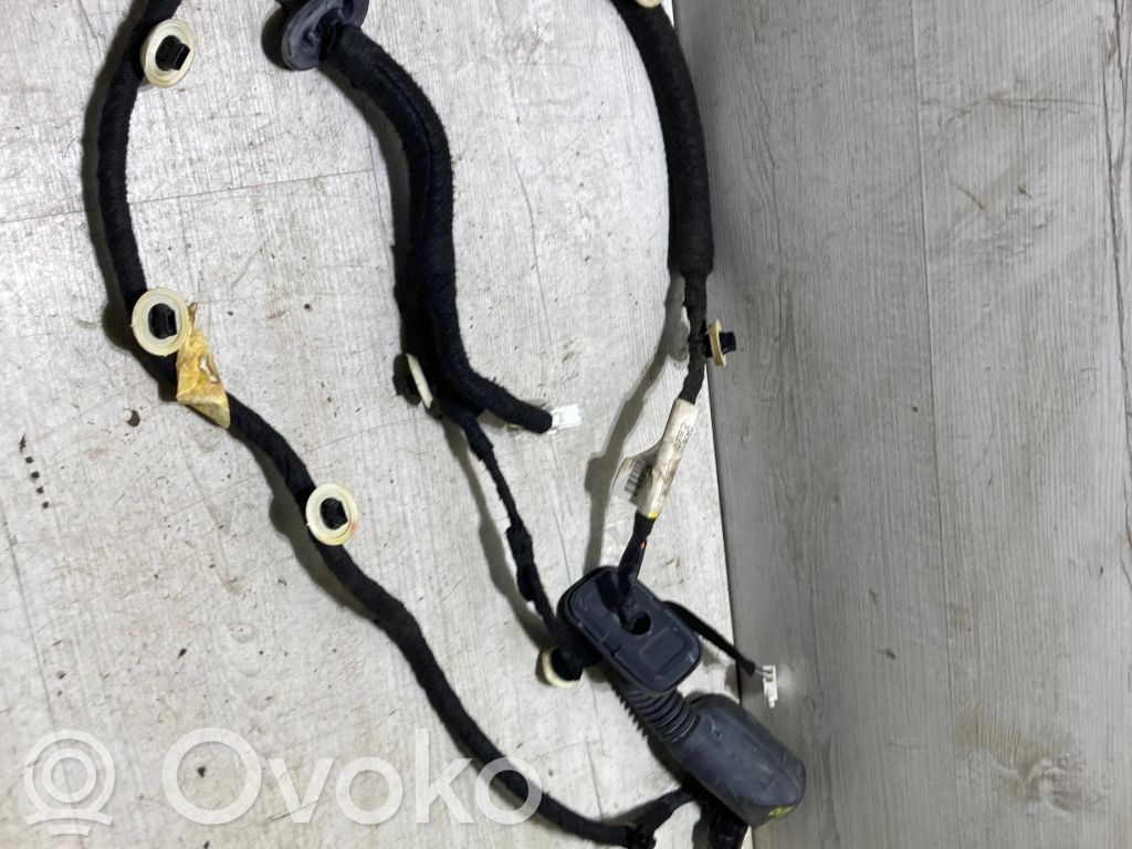 Cableado de puerta trasera   241260358R