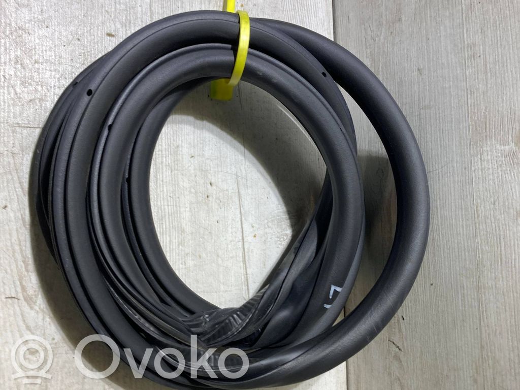 Citroen C3 Rubber seal rear door 