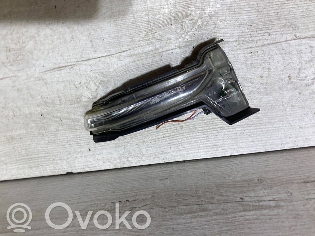 Ford Focus Spiegelblinker 
