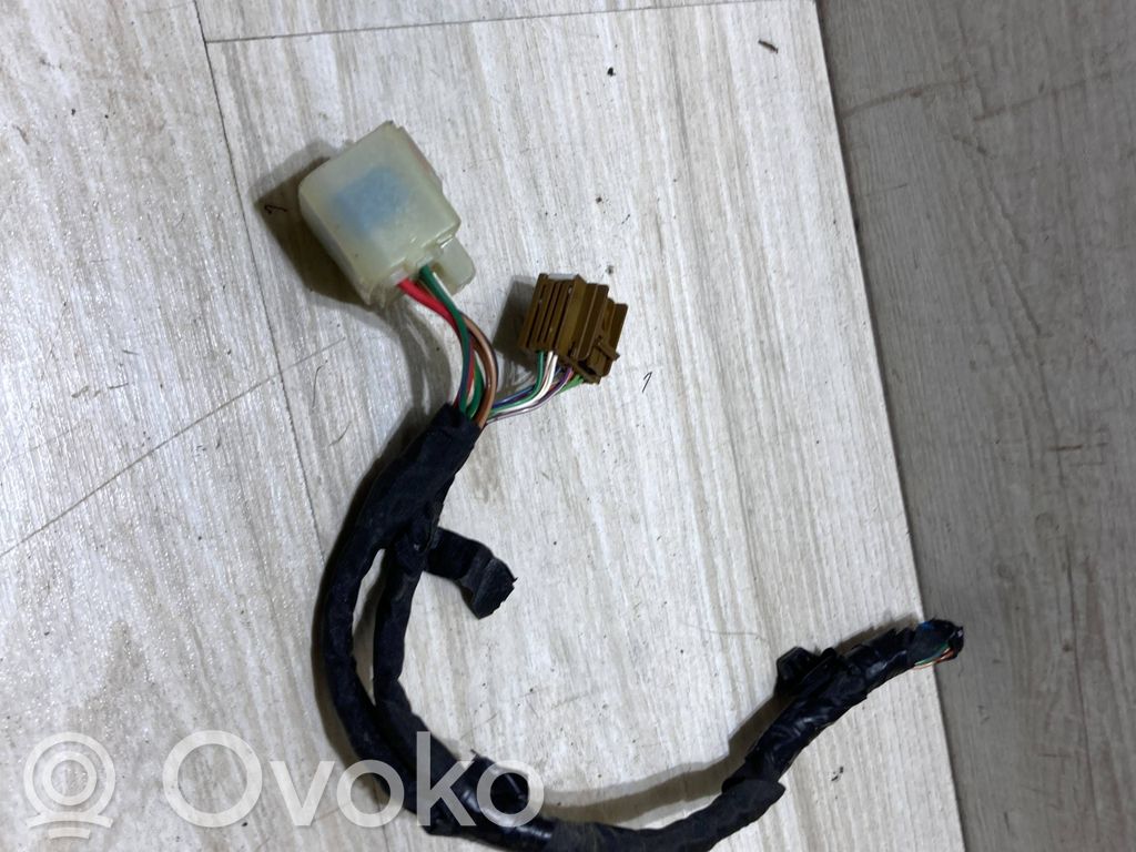 Arnés/cableado de puerta delantera
