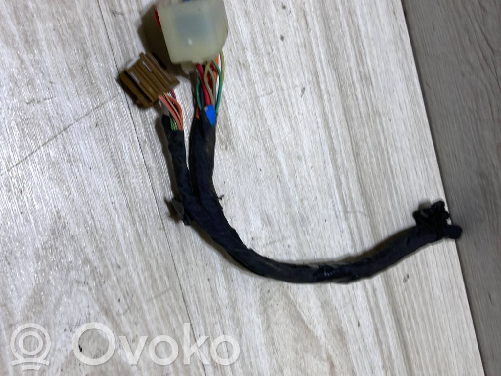 Arnés/cableado de puerta delantera
