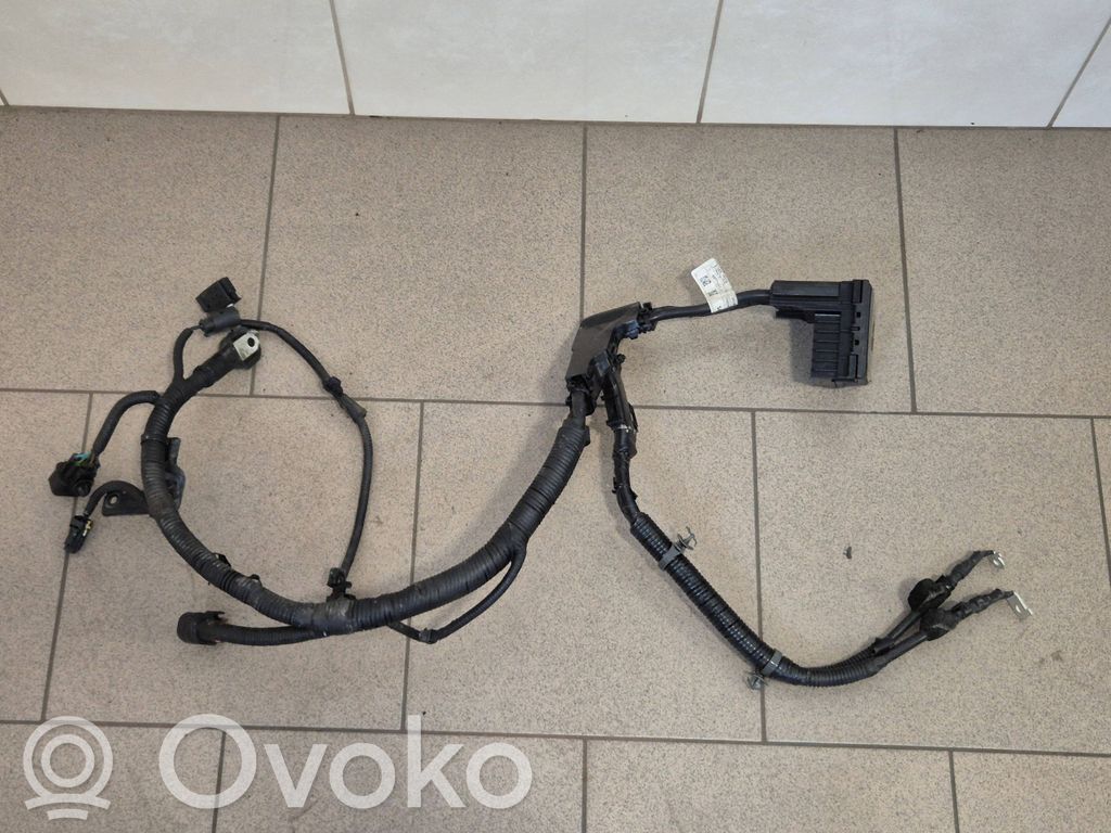 KIA Ceed Pluskaapeli (akku) 