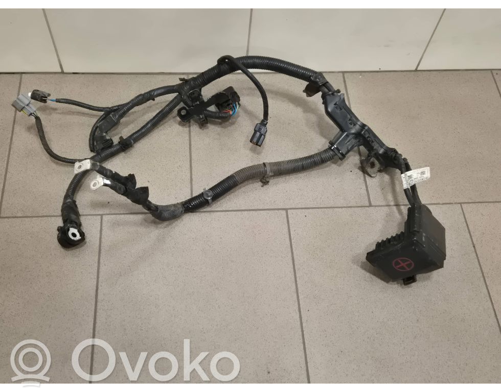 Pluskaapeli (akku)   91975J7000,91855J7250