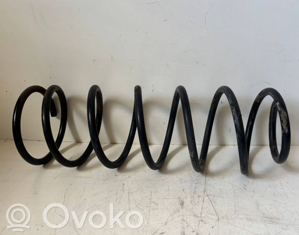 Front coil spring